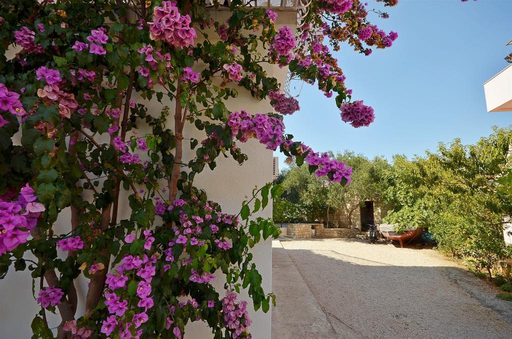 Apartments Sime Vodice Dış mekan fotoğraf